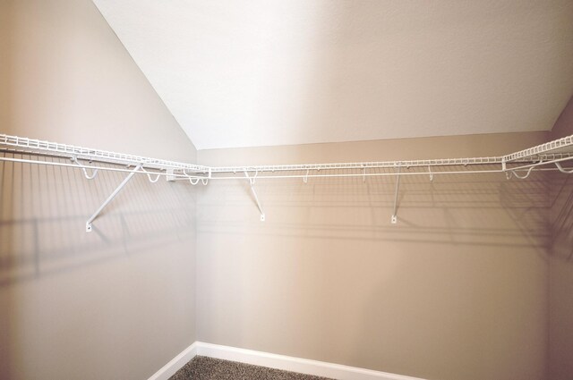 529 Castle Pinckney Ln, Clarksville, TN 37042 - photo 37