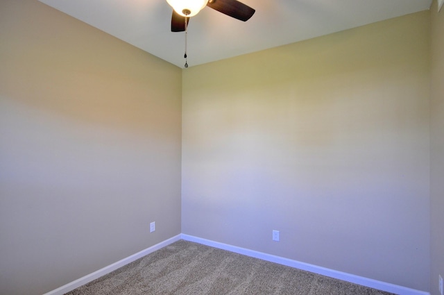 529 Castle Pinckney Ln, Clarksville, TN 37042 - photo 28