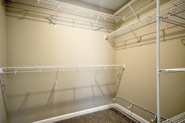 529 Castle Pinckney Ln, Clarksville, TN 37042 - photo 47