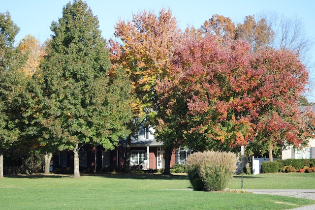 obstructed view of property featuring a front lawn