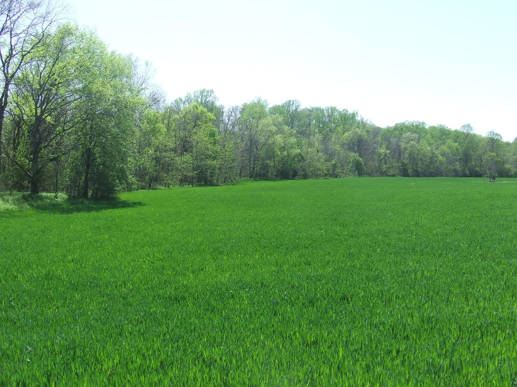 0 Old Wells Rd, Morrison, TN 37357 - photo 1