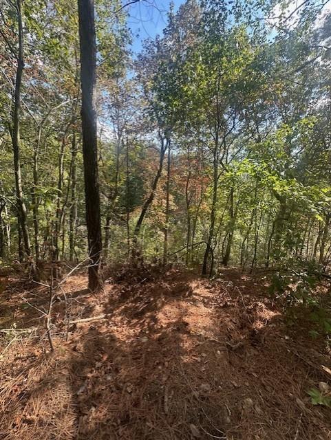 450 Pine Grove Dr, Waverly, TN 37185