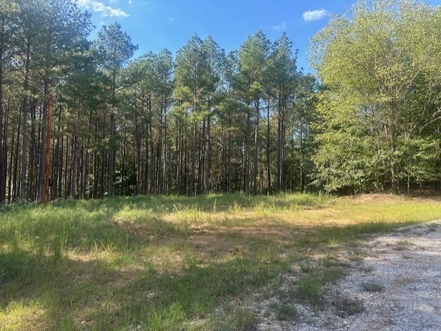 450 Pine Grove Dr, Waverly, TN 37185