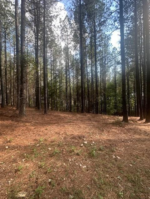 450 Pine Grove Dr, Waverly, TN 37185