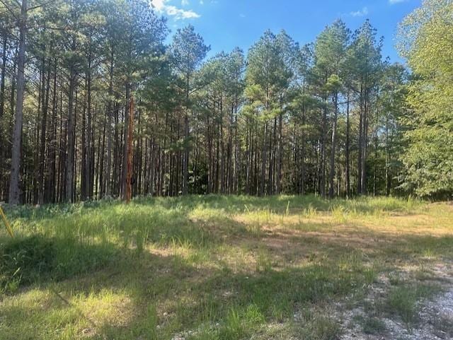 450 Pine Grove Dr, Waverly, TN 37185