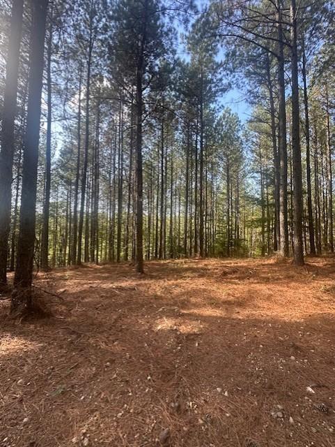 450 Pine Grove Dr, Waverly, TN 37185