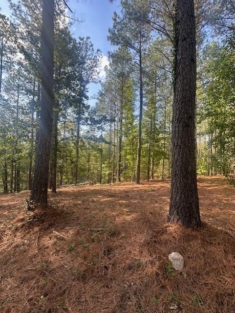 450 Pine Grove Dr, Waverly, TN 37185