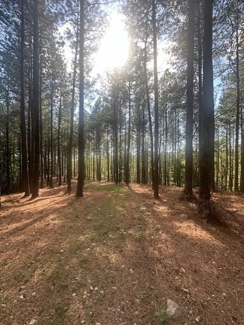 450 Pine Grove Dr, Waverly, TN 37185