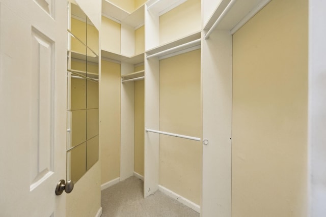 spacious closet with carpet