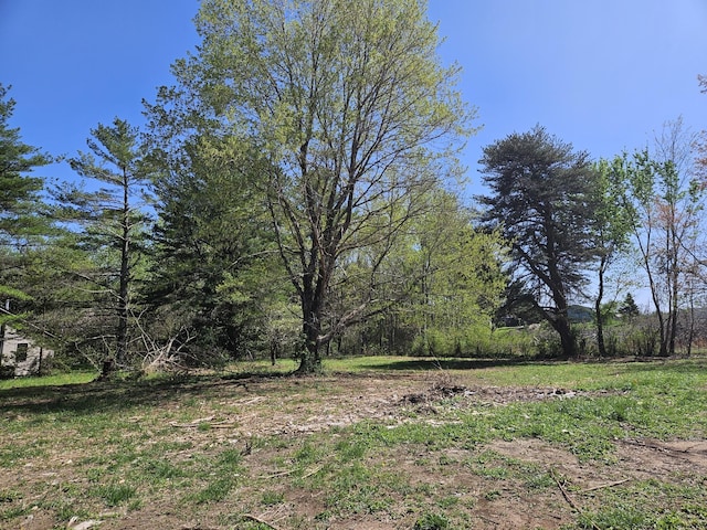 395 Church St, Spencer, TN 38585 - view of local wilderness