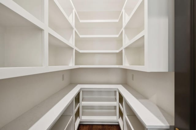 521 Mansion Dr, Brentwood, TN 37027 - view of pantry
