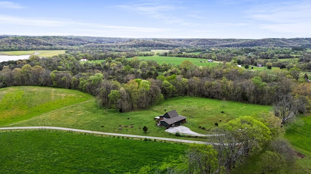 1720 Bratton Ln, Williamsport, TN 38487 - drone / aerial view with a wooded view and a rural view
