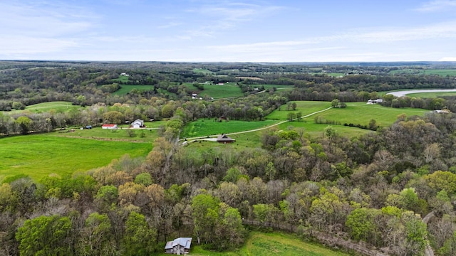 1720 Bratton Ln, Williamsport, TN 38487 - aerial view with a rural view