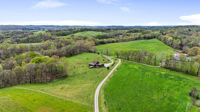 1720 Bratton Ln, Williamsport, TN 38487 - birds eye view of property with a rural view and a view of trees