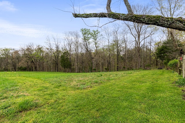 1720 Bratton Ln, Williamsport, TN 38487 - view of yard with a view of trees