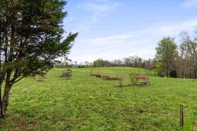 1720 Bratton Ln, Williamsport, TN 38487 - view of yard with a rural view