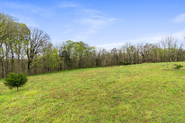 1720 Bratton Ln, Williamsport, TN 38487 - view of yard with a forest view