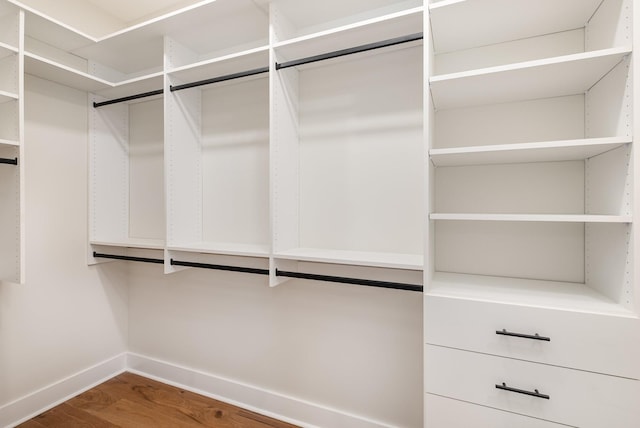 spacious closet featuring wood finished floors