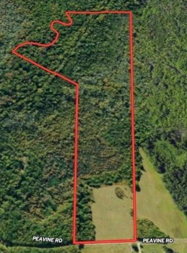 0 Pea Vine Rd, Pocahontas, TN 38061