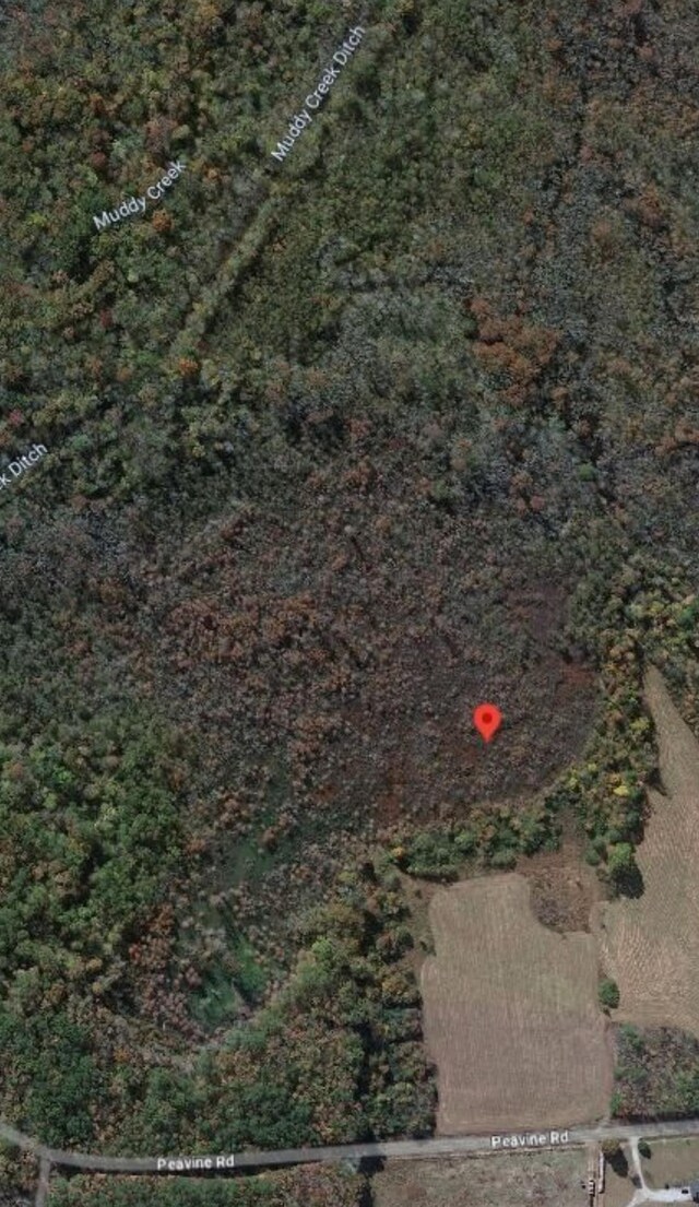 0 Pea Vine Rd, Pocahontas, TN 38061