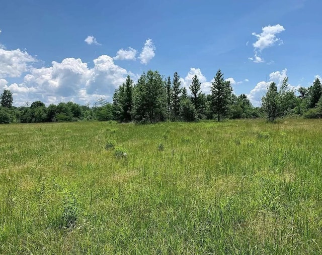 0 Pea Vine Rd, Pocahontas, TN 38061
