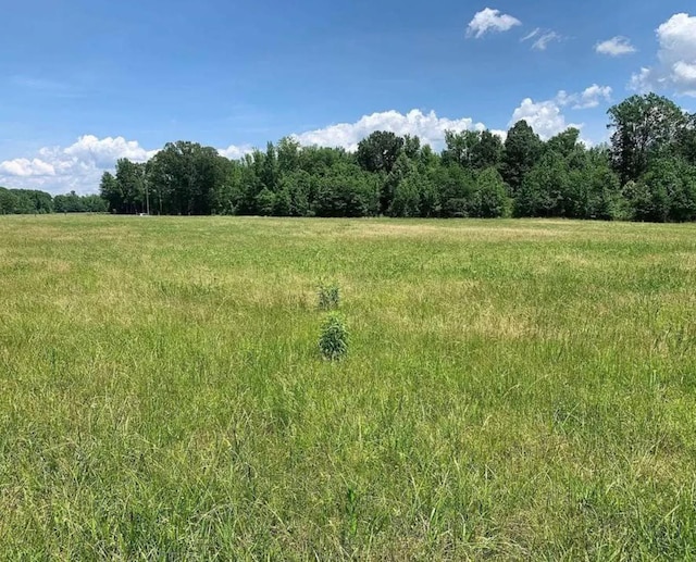 0 Pea Vine Rd, Pocahontas, TN 38061
