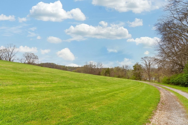 111 Patton Ln, Hendersonville, TN 37075 - photo 1