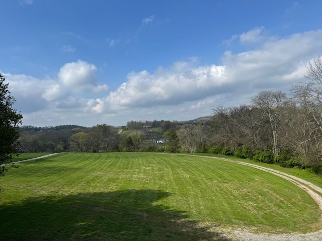 111 Patton Ln, Hendersonville, TN 37075 - photo 2