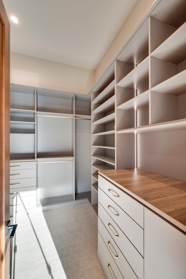 2108 12th Ave S, Nashville, TN 37204 - view of walk in closet
