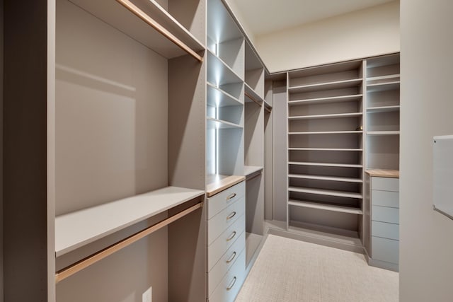 2108 12th Ave S, Nashville, TN 37204 - view of spacious closet