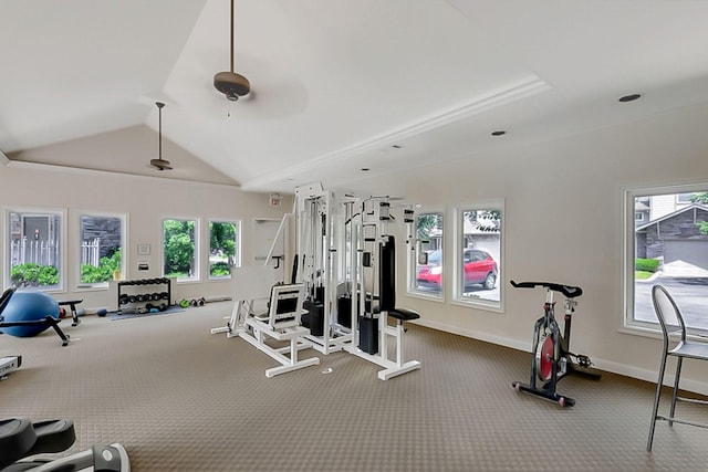 workout area with baseboards, lofted ceiling, and a healthy amount of sunlight