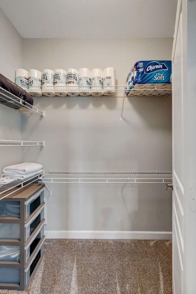 spacious closet featuring carpet flooring