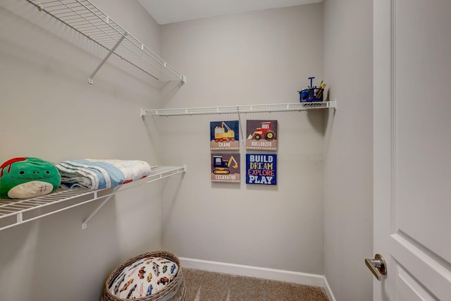 walk in closet featuring carpet flooring