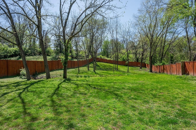 view of yard featuring fence
