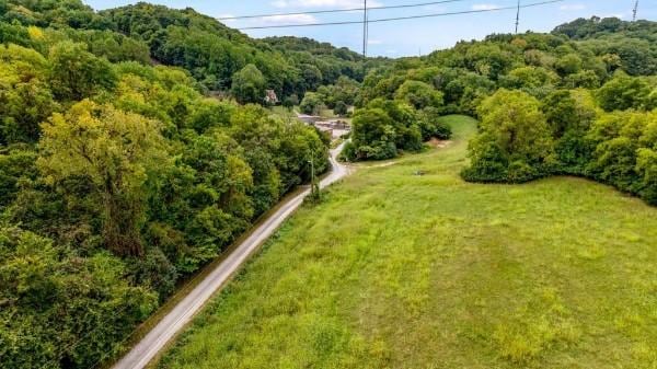 10 Hillenglade Dr, Nashville, TN 37207 - photo 2