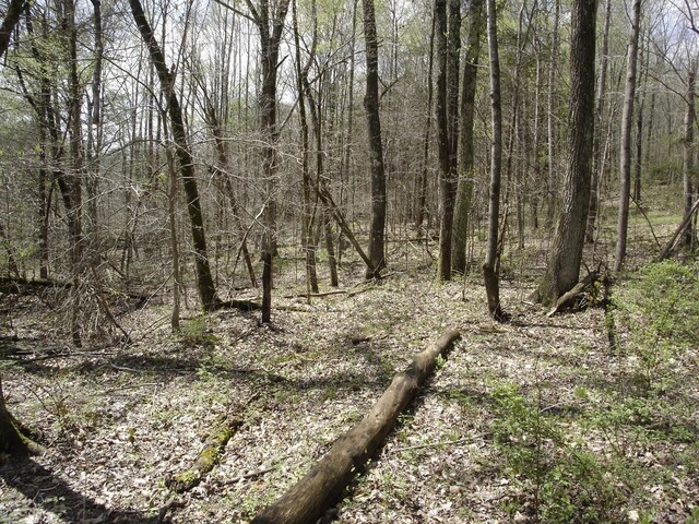 1044 Washington Dr, Cottontown, TN 37048 - photo 5