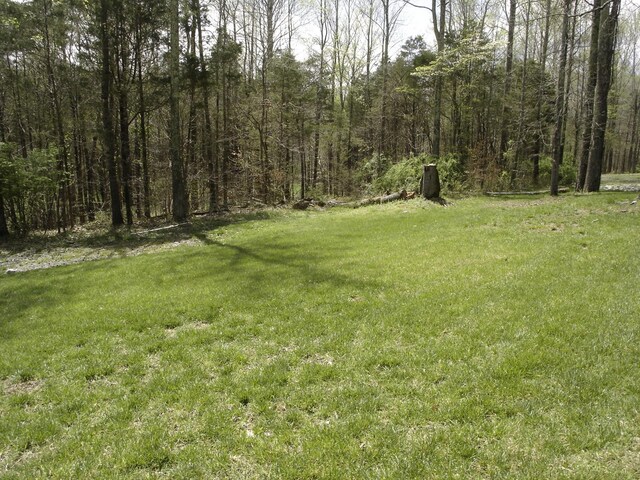 1044 Washington Dr, Cottontown, TN 37048 - photo 6