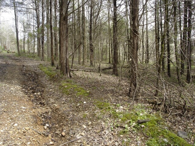 1044 Washington Dr, Cottontown, TN 37048 - photo 7