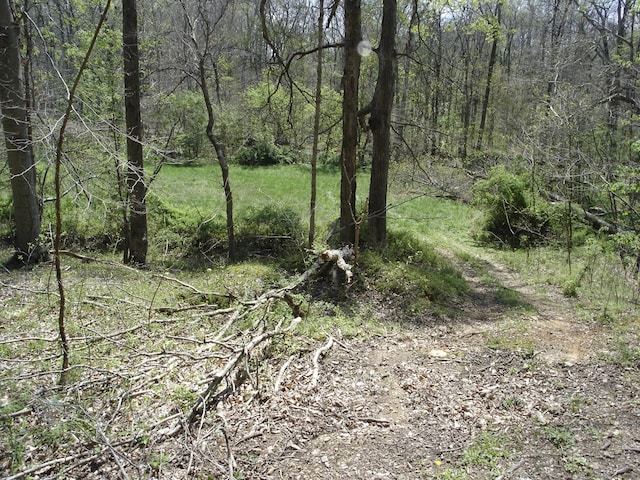 1044 Washington Dr, Cottontown, TN 37048 - photo 18