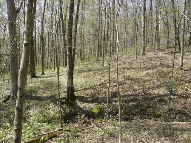 1044 Washington Dr, Cottontown, TN 37048 - photo 15