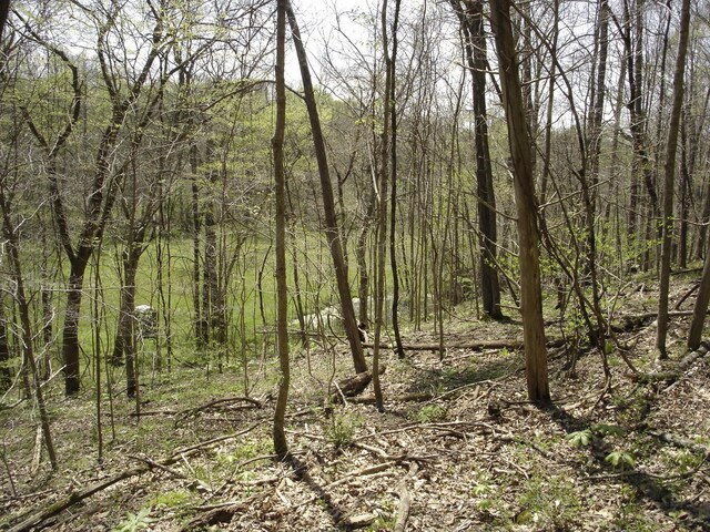 1044 Washington Dr, Cottontown, TN 37048 - photo 14