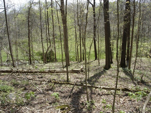 1044 Washington Dr, Cottontown, TN 37048 - photo 16