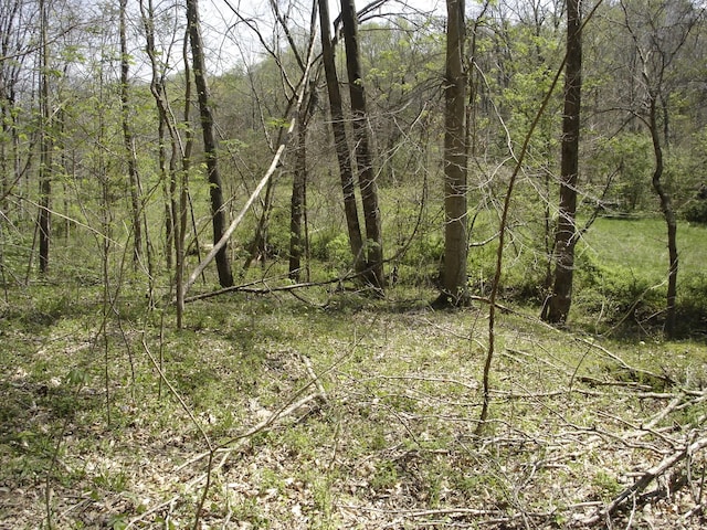 1044 Washington Dr, Cottontown, TN 37048 - photo 19