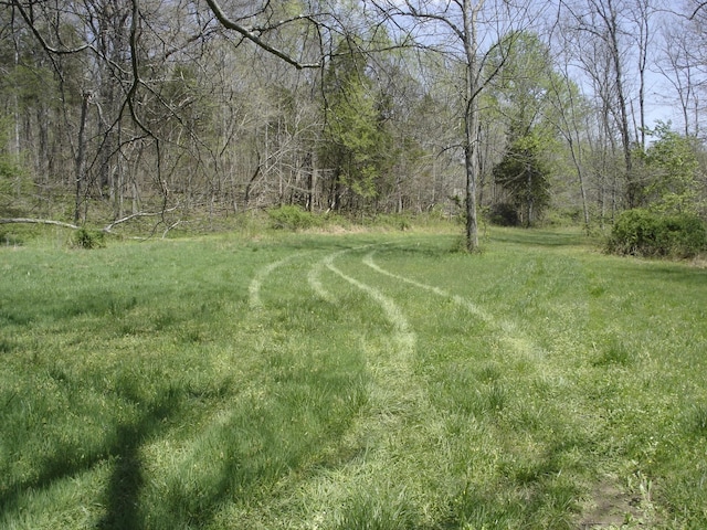 1044 Washington Dr, Cottontown, TN 37048 - photo 22