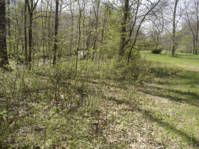 1044 Washington Dr, Cottontown, TN 37048 - photo 26