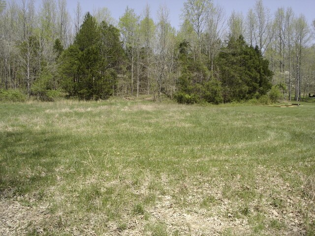 1044 Washington Dr, Cottontown, TN 37048 - photo 27