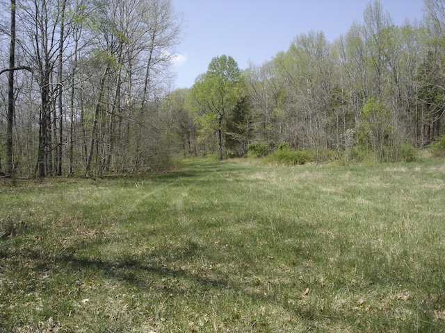 1044 Washington Dr, Cottontown, TN 37048 - photo 28