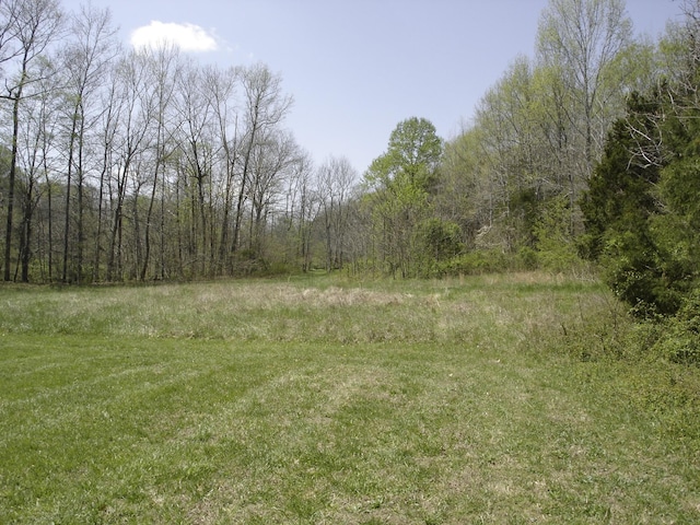 1044 Washington Dr, Cottontown, TN 37048 - photo 30