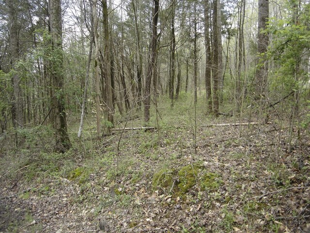 1044 Washington Dr, Cottontown, TN 37048 - photo 38