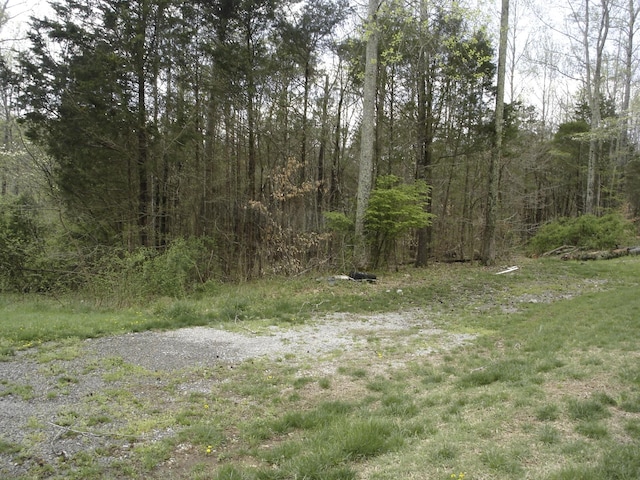 1044 Washington Dr, Cottontown, TN 37048 - photo 40